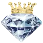 9WIN VIP icon